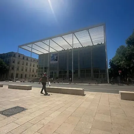 Le Petit Musee A 2 Pas Des Arenes