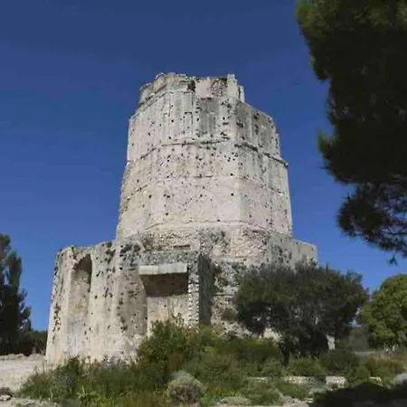 Le Petit Musée à 2 Pas Des Arènes Apartamento *